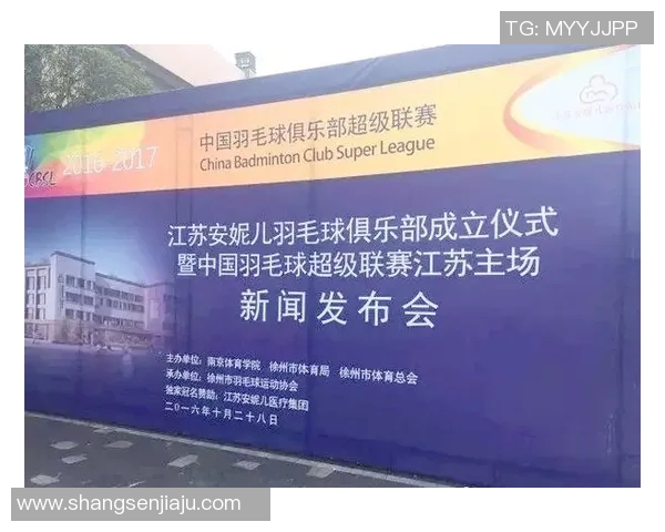 南京羽毛球队勇闯世锦赛的辉煌历程与奋斗故事